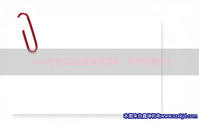 Shopify独立站运营面试指南：如何脱颖而出(pic1)