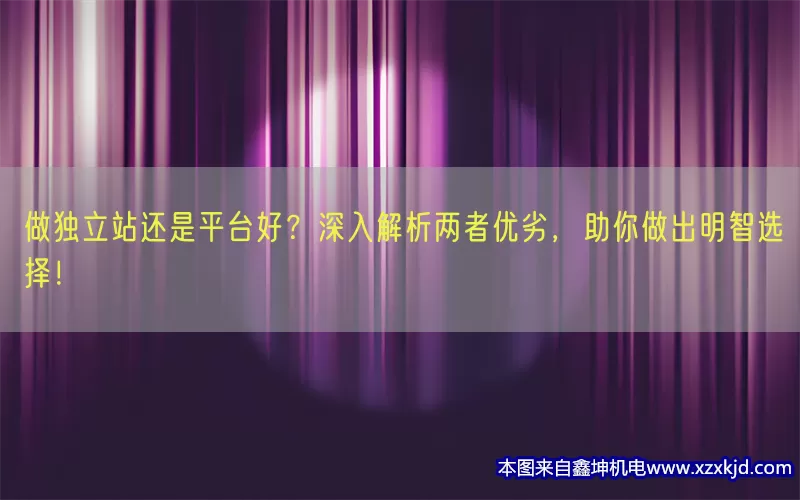 做独立站还是平台好？深入解析两者优劣，助你做出明智选择！(pic1)
