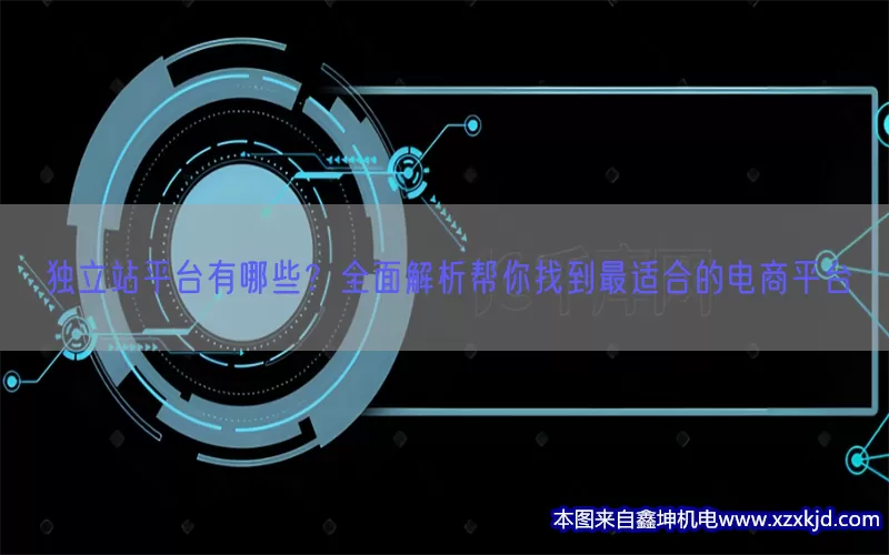 独立站平台有哪些？全面解析帮你找到最适合的电商平台(pic1)