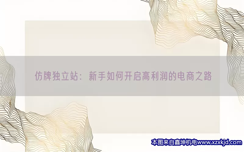 仿牌独立站：新手如何开启高利润的电商之路(pic1)