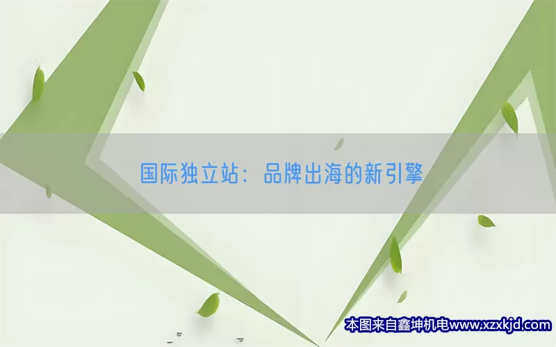 国际独立站：品牌出海的新引擎(pic1)