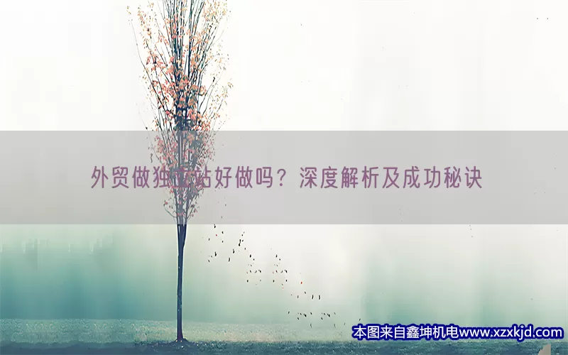 外贸做独立站好做吗？深度解析及成功秘诀(pic1)