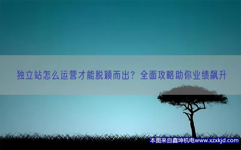 独立站怎么运营才能脱颖而出？全面攻略助你业绩飙升(pic1)