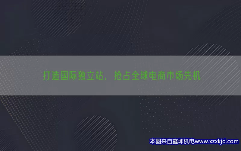 打造国际独立站，抢占全球电商市场先机(pic1)