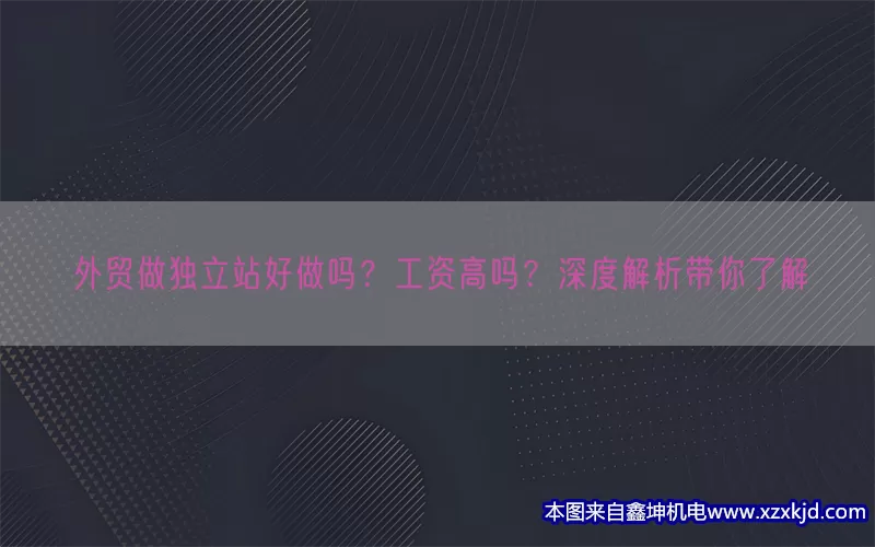 外贸做独立站好做吗？工资高吗？深度解析带你了解(pic1)