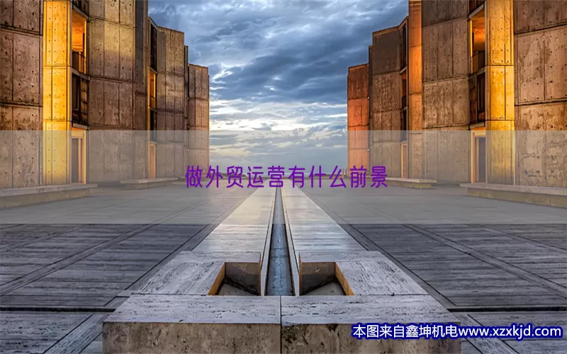 做外贸运营有什么前景(pic1)