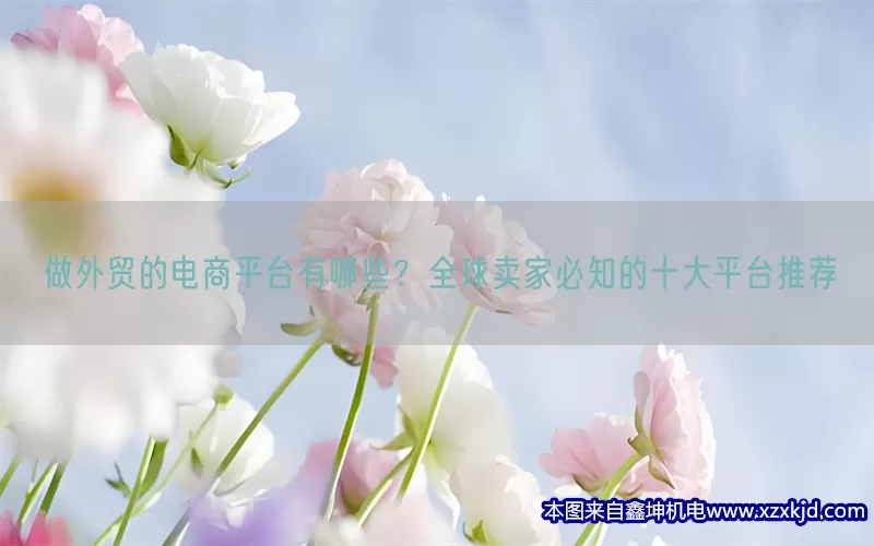做外贸的电商平台有哪些？全球卖家必知的十大平台推荐(pic1)
