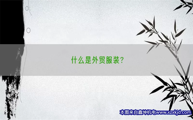 什么是外贸服装？(pic1)