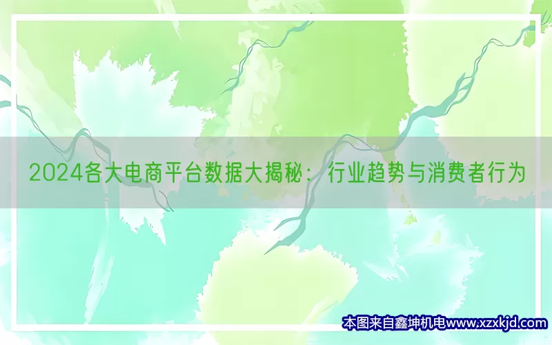 2024各大电商平台数据大揭秘：行业趋势与消费者行为(pic1)