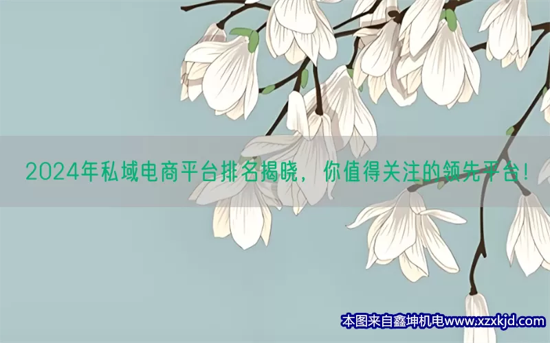 2024年私域电商平台排名揭晓，你值得关注的领先平台！(pic1)