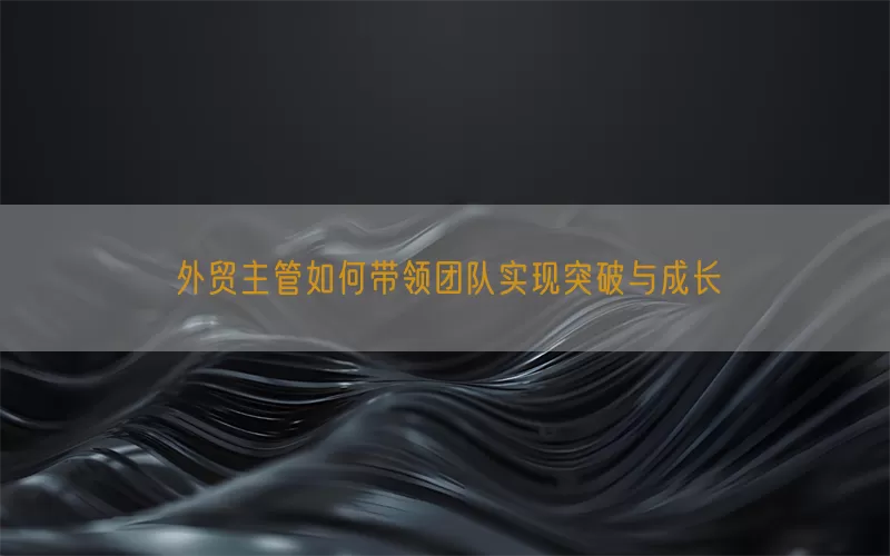 外贸主管如何带领团队实现突破与成长