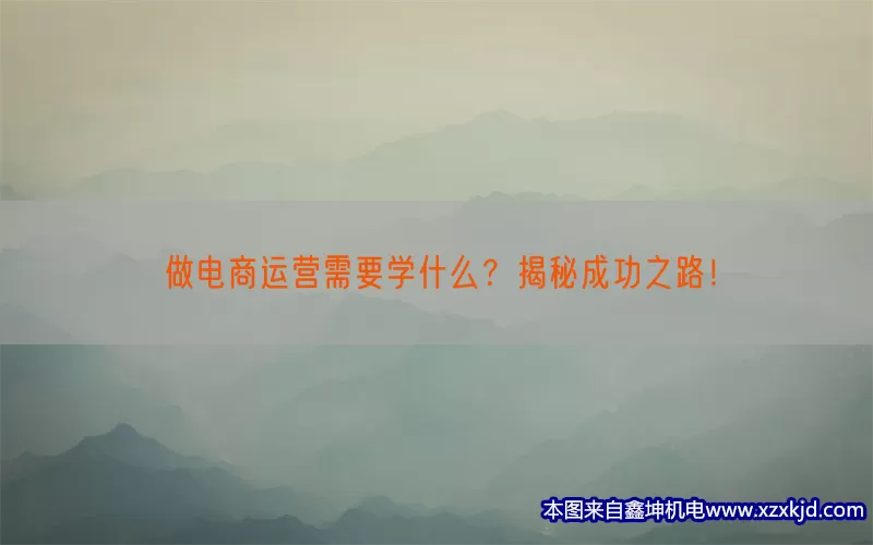 做电商运营需要学什么？揭秘成功之路！(pic1)