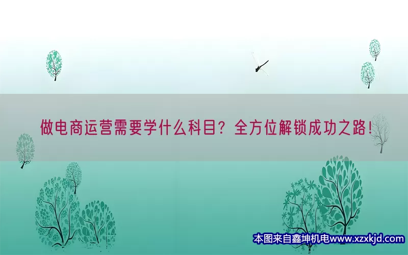 做电商运营需要学什么科目？全方位解锁成功之路！(pic1)