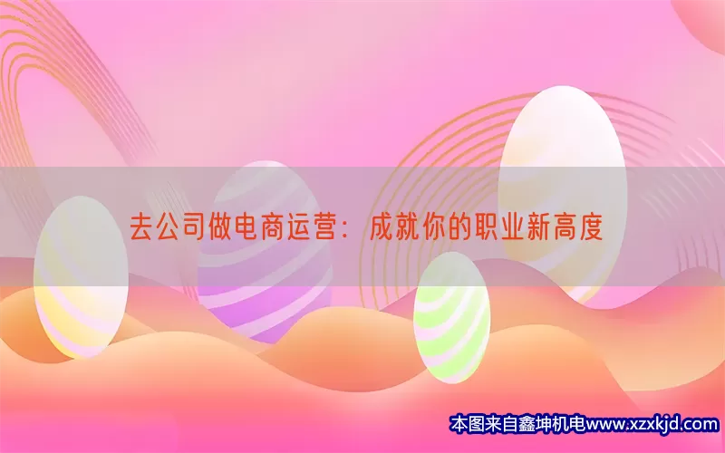 去公司做电商运营：成就你的职业新高度(pic1)
