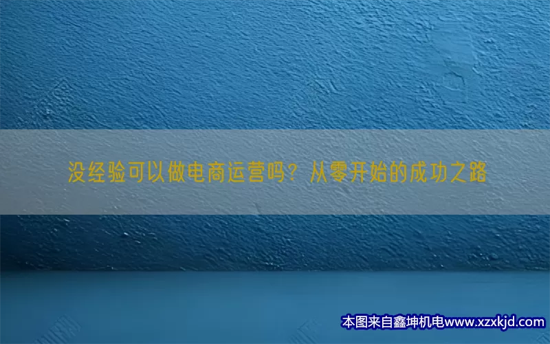 没经验可以做电商运营吗？从零开始的成功之路(pic1)