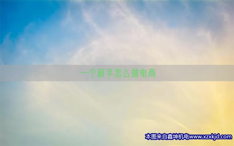 一个新手怎么做电商(pic1)