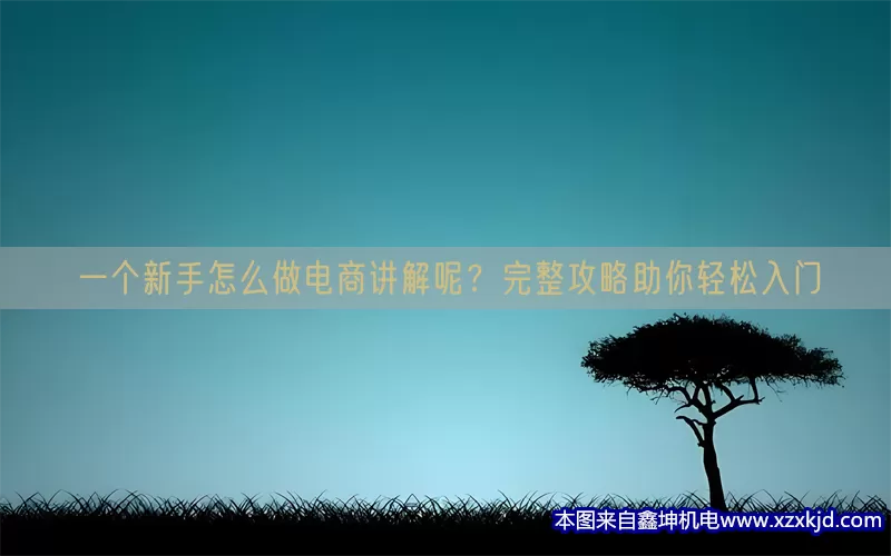 一个新手怎么做电商讲解呢？完整攻略助你轻松入门(pic1)