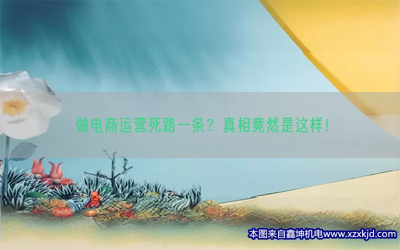 做电商运营死路一条？真相竟然是这样！(pic1)