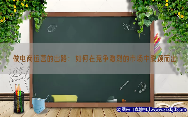 做电商运营的出路：如何在竞争激烈的市场中脱颖而出(pic1)