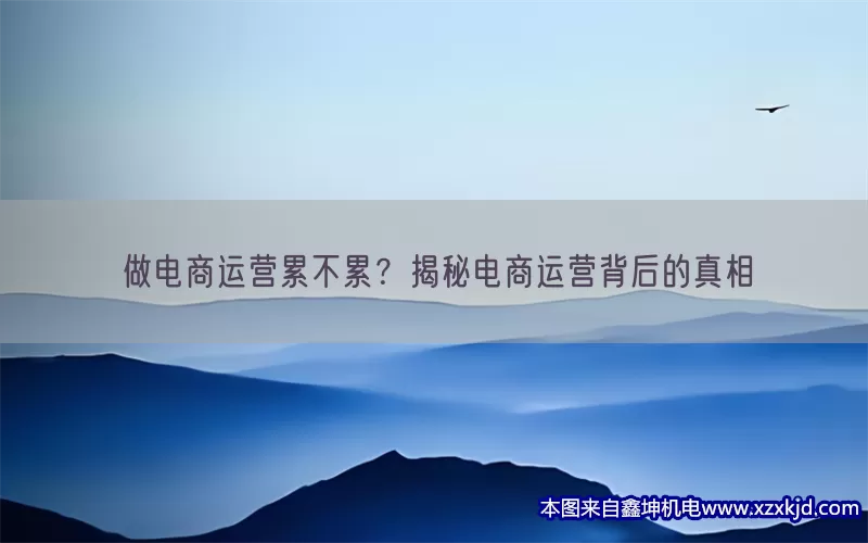 做电商运营累不累？揭秘电商运营背后的真相(pic1)