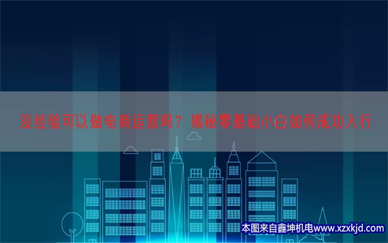 没经验可以做电商运营吗？揭秘零基础小白如何成功入行(pic1)