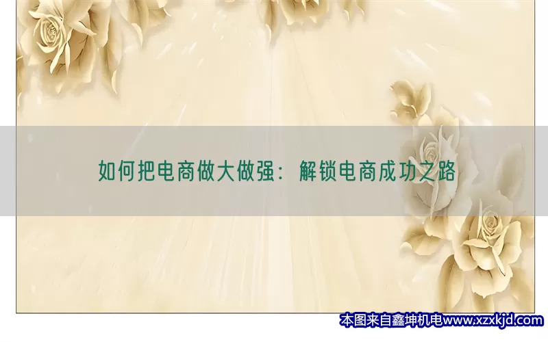 如何把电商做大做强：解锁电商成功之路(pic1)