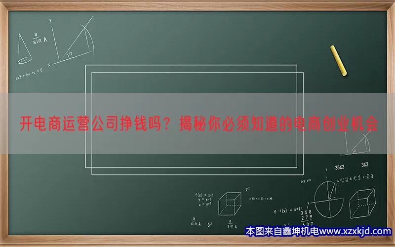开电商运营公司挣钱吗？揭秘你必须知道的电商创业机会(pic1)