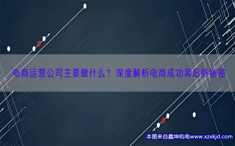 电商运营公司主要做什么？深度解析电商成功背后的秘密(pic1)