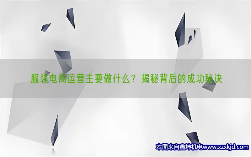 服装电商运营主要做什么？揭秘背后的成功秘诀(pic1)