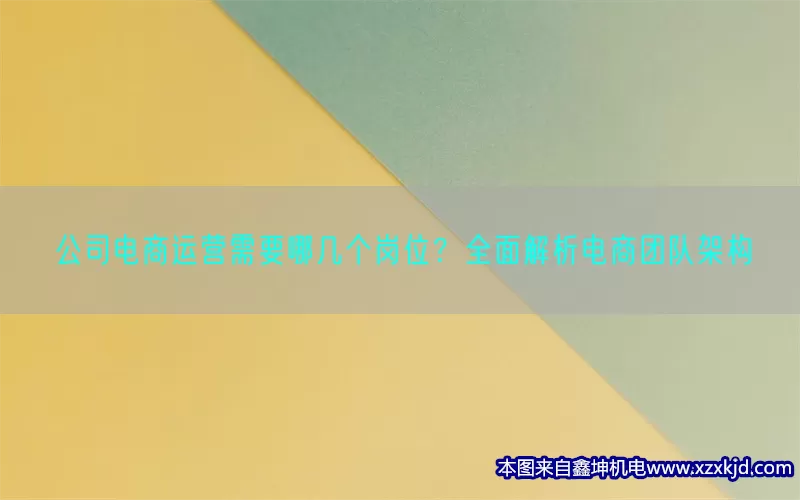 公司电商运营需要哪几个岗位？全面解析电商团队架构(pic1)