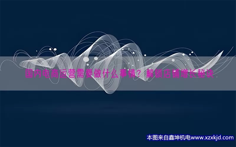 国内电商运营需要做什么事情？解锁店铺增长秘诀(pic1)
