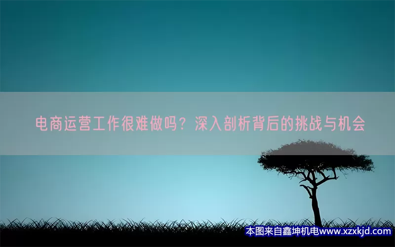 电商运营工作很难做吗？深入剖析背后的挑战与机会(pic1)