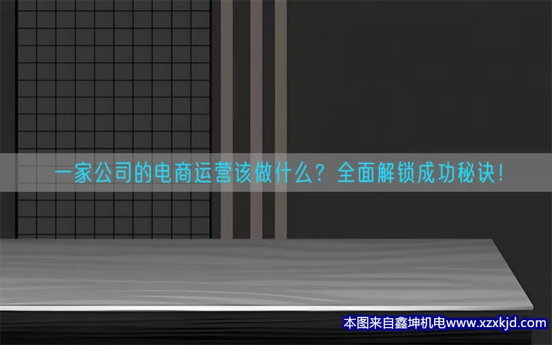 一家公司的电商运营该做什么？全面解锁成功秘诀！(pic1)