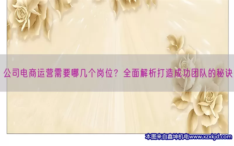 公司电商运营需要哪几个岗位？全面解析打造成功团队的秘诀(pic1)
