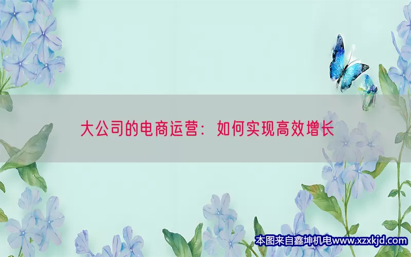 大公司的电商运营：如何实现高效增长(pic1)