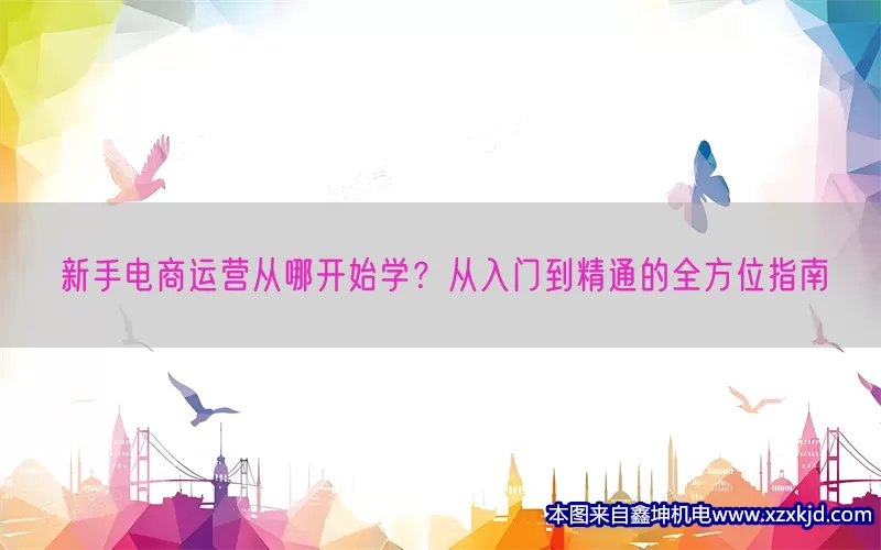 新手电商运营从哪开始学？从入门到精通的全方位指南(pic1)