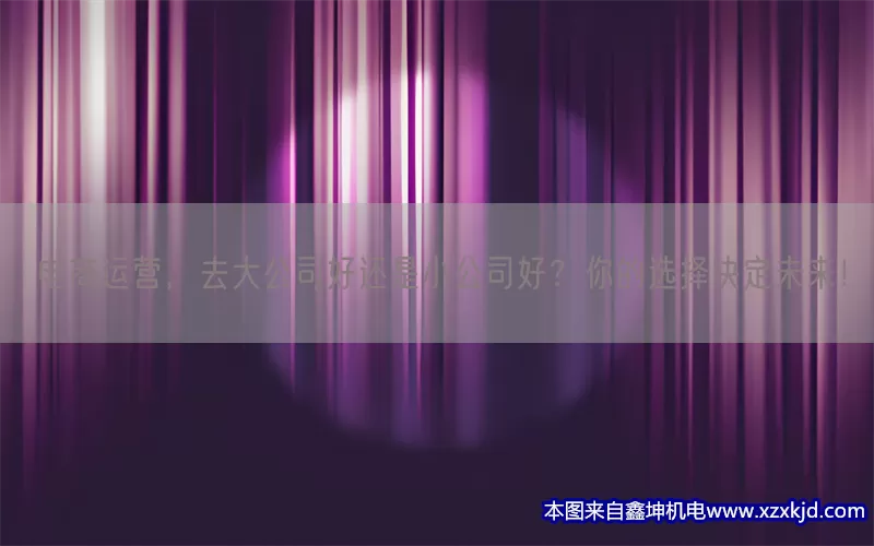 电商运营，去大公司好还是小公司好？你的选择决定未来！(pic1)