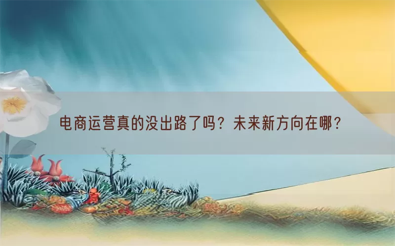 电商运营真的没出路了吗?未来新方向在哪?