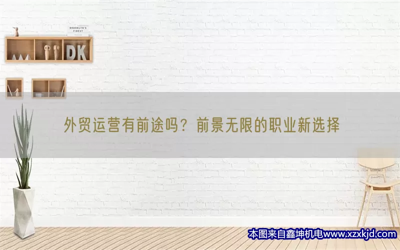 外贸运营有前途吗？前景无限的职业新选择(pic1)