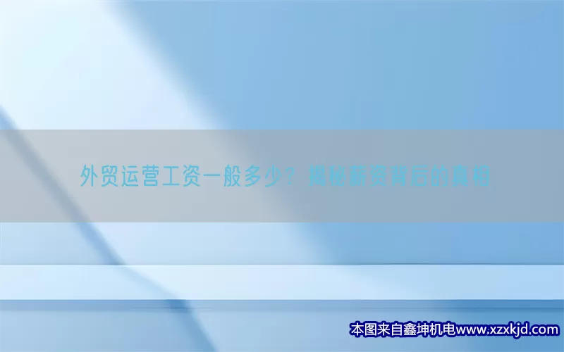 外贸运营工资一般多少？揭秘薪资背后的真相(pic1)