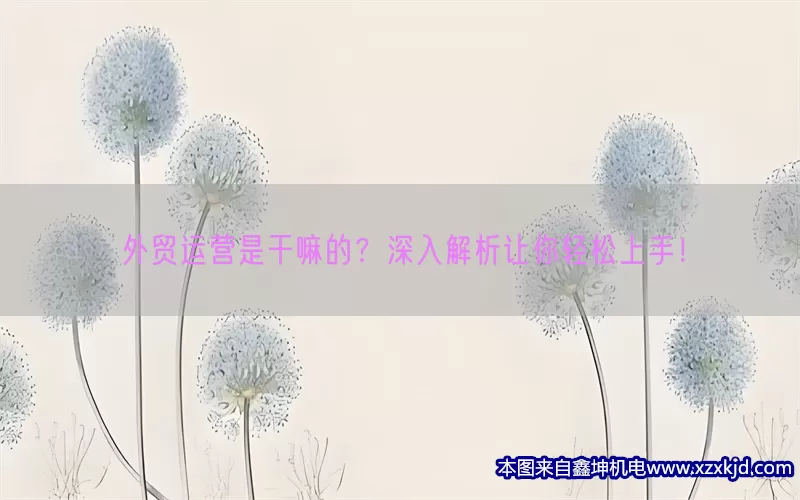 外贸运营是干嘛的？深入解析让你轻松上手！(pic1)