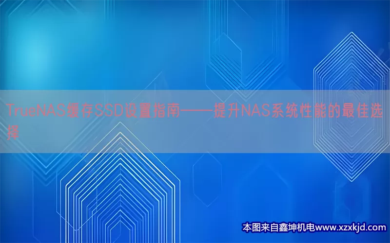 TrueNAS缓存SSD设置指南——提升NAS系统性能的最佳选择(pic1)