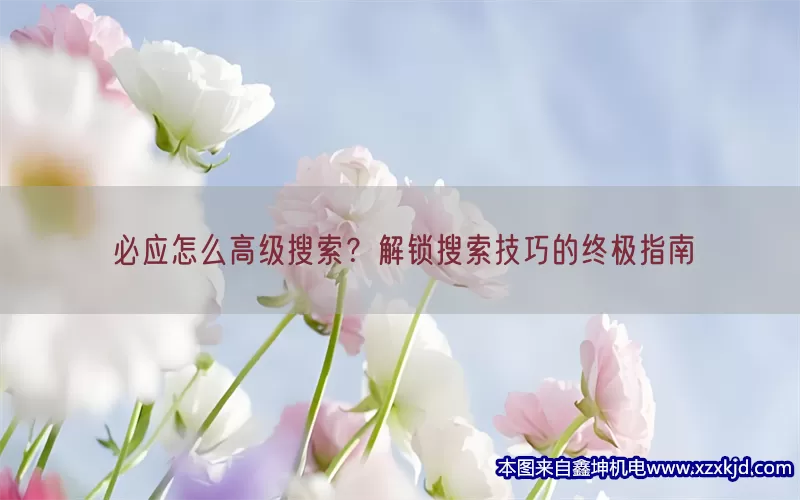 必应怎么高级搜索？解锁搜索技巧的终极指南(pic1)