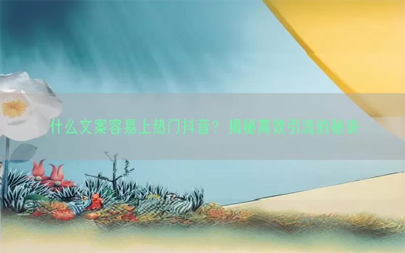什么文案容易上热门抖音？揭秘高效引流的秘诀