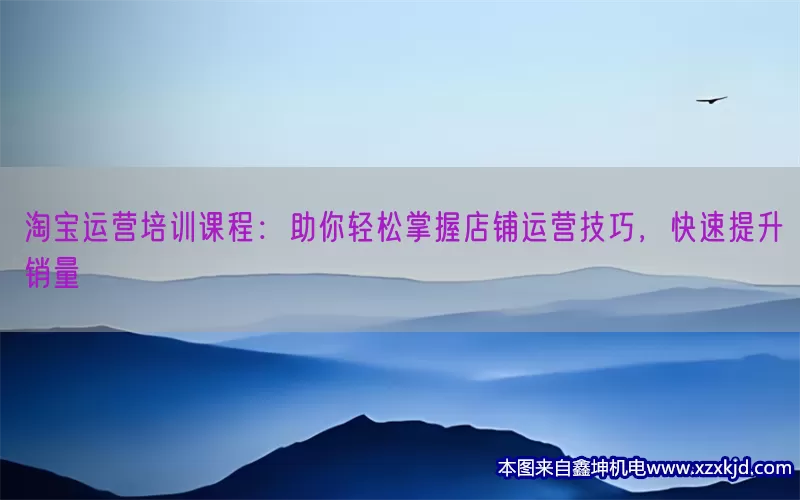 淘宝运营培训课程：助你轻松掌握店铺运营技巧，快速提升销量(pic1)