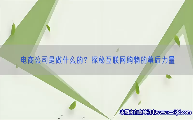 电商公司是做什么的？探秘互联网购物的幕后力量(pic1)