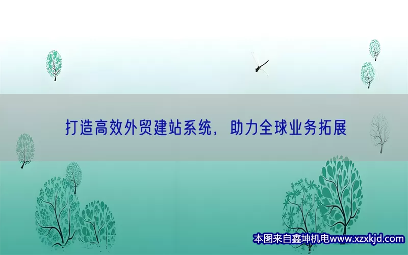 打造高效外贸建站系统，助力全球业务拓展(pic1)