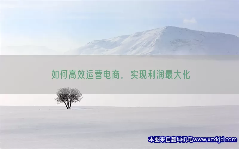 如何高效运营电商，实现利润最大化(pic1)