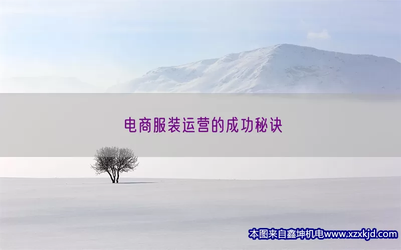 电商服装运营的成功秘诀(pic1)