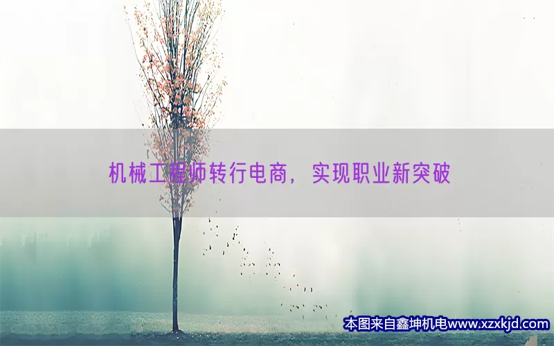 机械工程师转行电商，实现职业新突破(pic1)